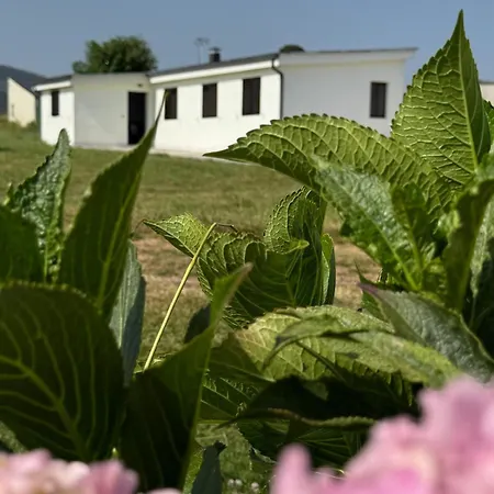 Casa Playa Catedrales Con Vistas Mar Баррейрос